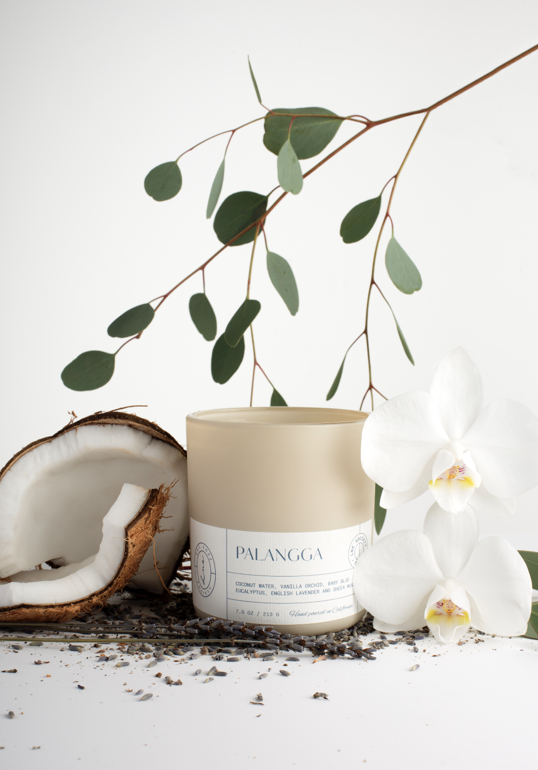 LNE Society candle styled with coconut and orchids